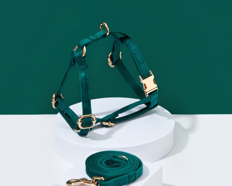 May include: A dark green velvet dog harness and matching leash set. The harness features gold-colored metal hardware, including buckles and rings. The leash is coiled neatly below the harness on a white surface, with a dark green background.