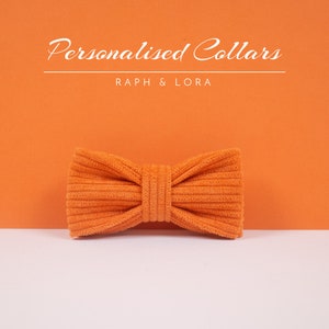 Orange Cat Collar with Bell, Custom Cat Collar Bow Tie for Pet Birthday Gift, Adjustable Luxury Personalized Cat Collar image 3