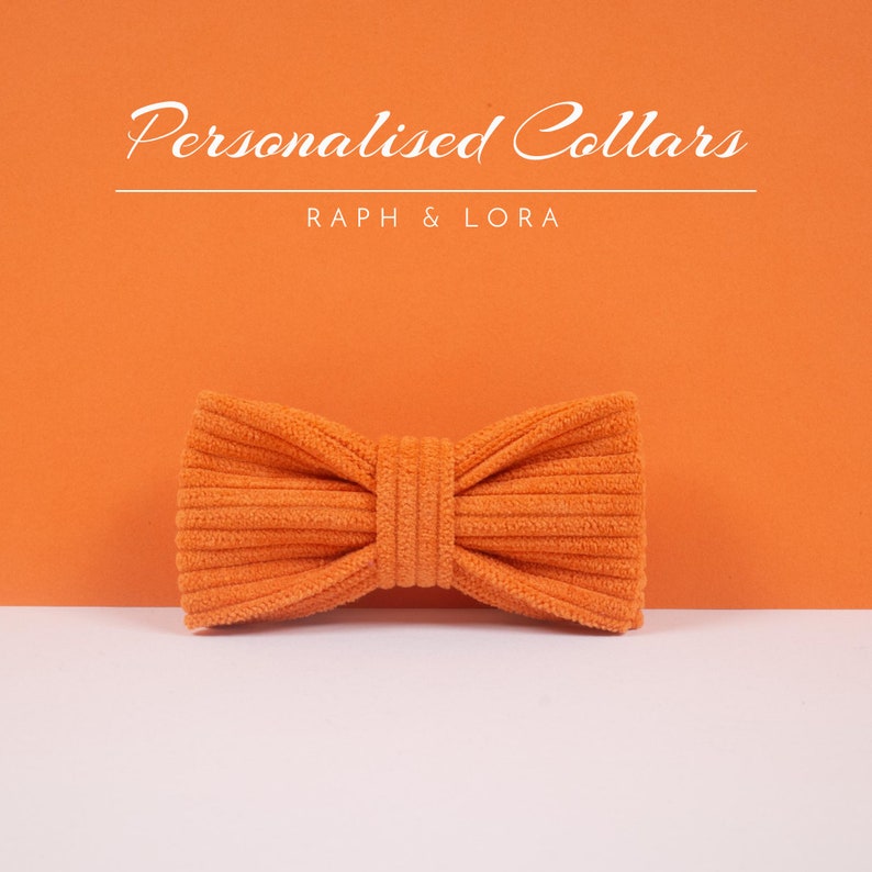 Orange Cat Collar with Bell, Custom Cat Collar Bow Tie for Pet Birthday Gift, Adjustable Luxury Personalized Cat Collar image 3