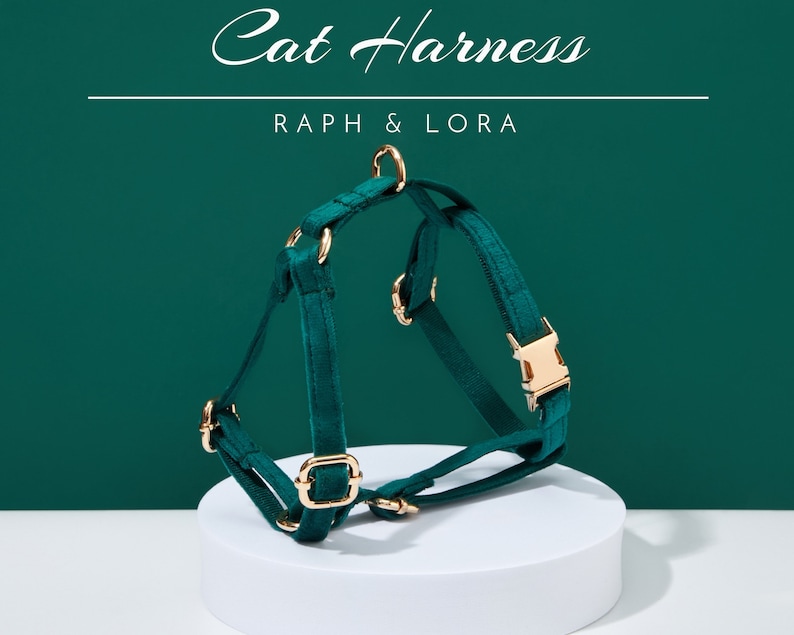 May include: A teal cat harness with gold-colored hardware, including buckles and rings. The text "Cat Harness" and "RAPH & LORA" are displayed in white script. The harness is displayed on a white pedestal against a teal background.