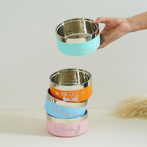 May include: Stainless steel pet bowls in teal, orange, blue, and pink, stacked and held by a hand. Each bowl has a colored band with a pet's name and a decorative element. The bowls are designed for pets.
