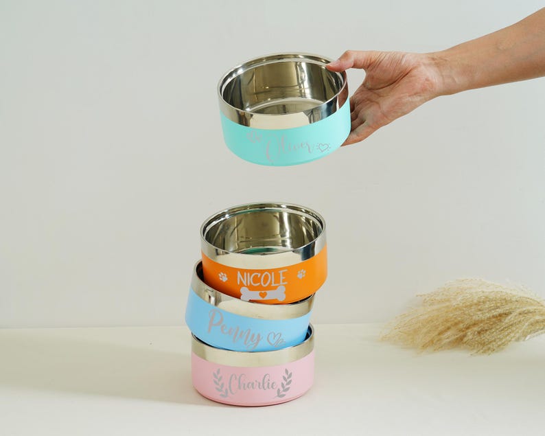 May include: Stainless steel pet bowls in teal, orange, blue, and pink, stacked and held by a hand. Each bowl has a colored band with a pet's name and a decorative element. The bowls are designed for pets.