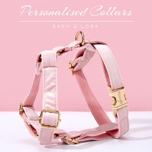 Baby Pink Velvet Personalized Dog Collar Lead Bow, Puppy Collar for Wedding Gift, Luxury Pet Dog Collar for Small Dogs, Soft Cat Collar Gift image 5