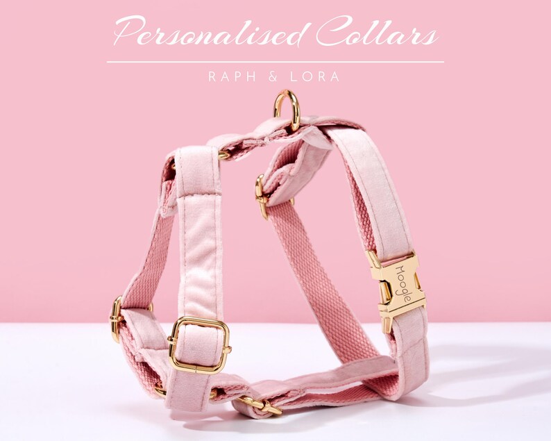 Baby Pink Velvet Personalized Dog Collar Lead Bow, Puppy Collar for Wedding Gift, Luxury Pet Dog Collar for Small Dogs, Soft Cat Collar Gift image 5