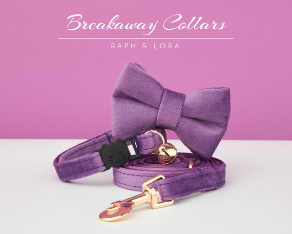 Nome Inciso Collare Per Gatti In Nylon Campana Piccola Prodotti Per Animali Domestici In Tinta Una Fornure Per Gattini Unisex Personalizzate Tag Collare Per Gatti Piccolo - Foto 10