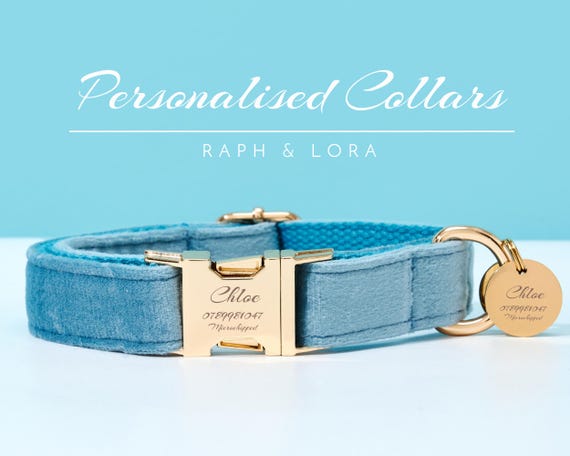 Personalisiertes Hundehalsband und Leine Set, ausgefallenes Samt Welpen  Geschirr Set mit graviertem Namensschild Benutzerdefinierte Halsband fr  Hunde - Etsy sterreich