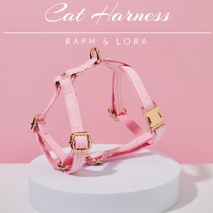 Cat Harness with Breakaway Personalized Cat Collar,Quick Release Cat Collar Set, Soft Corduroy/Velvet Custom Kitten Harness Leash Set