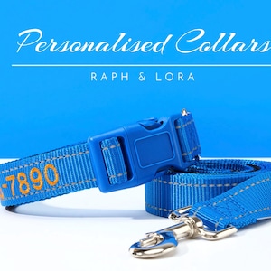 Gesticktes blaues Hundehalsband-Leine-Geschenk für Tierliebhaber, maßgeschneidertes Hundehalsband-Geschenk für Haustierbesitzer, Stickerei-Welpenhalsband-Set-Geschenk für ihn