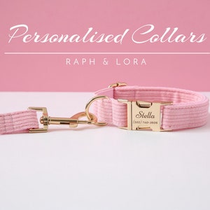 Op de afbeelding: Roze gepersonaliseerde hondenhalsband en riemset met een gouden gesp en een naamplaatje met de tekst "Stella (202) 740-3898".