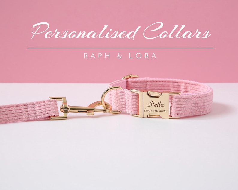 Op de afbeelding: Roze gepersonaliseerde hondenhalsband en riemset met een gouden gesp en een naamplaatje met de tekst "Stella (202) 740-3898".
