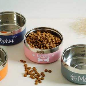 May include: Stainless steel pet bowls in blue, pink, orange, and teal. Each bowl has a silver rim and a colored band with a pet's name in white script. One bowl is filled with dry pet food. The names are Sophia, Nicole, Rosie, and Maisie.