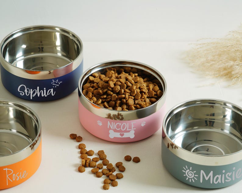 May include: Stainless steel pet bowls in blue, pink, orange, and teal. Each bowl has a silver rim and a colored band with a pet's name in white script. One bowl is filled with dry pet food. The names are Sophia, Nicole, Rosie, and Maisie.