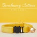 see more listings in the Breakaway Collars section