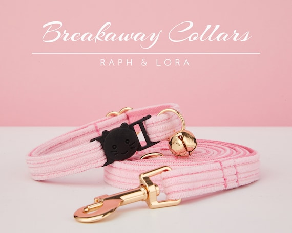 Nome Inciso Collare Per Gatti In Nylon Campana Piccola Prodotti Per Animali Domestici In Tinta Una Fornure Per Gattini Unisex Personalizzate Tag Collare Per Gatti Piccolo - Foto 9