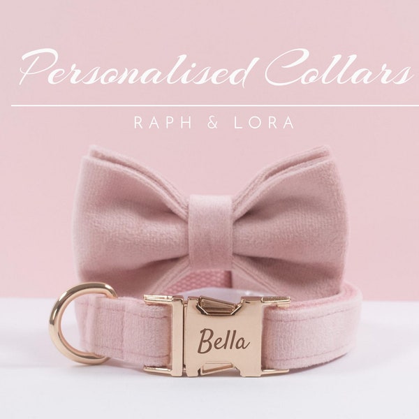 Collar de perro personalizado de terciopelo rosa bebé, lazo de plomo, collar de cachorro para regalo de boda, collar de perro mascota de lujo para perros pequeños, regalo de collar de gato suave