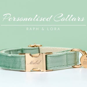 Può includere: Un collare per cani in velluto verde menta con fibbia color oro e targhetta abbinata. Il collare è personalizzato con il nome "Mabel" sulla fibbia. Il tag dice "If found please call 07873771002". Il testo "Personalised Collars" è in alto.
