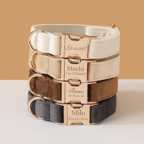 Designer Dog Collar With Name Engraved Personalized Puppy Etsy