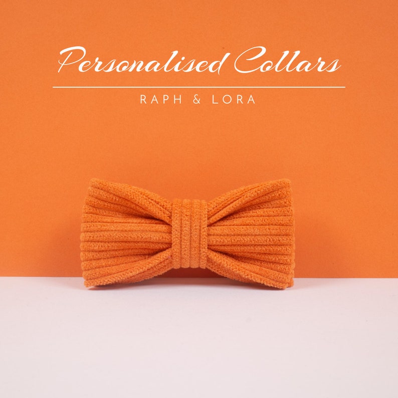 Orange Corduroy Cat Collar with Bell, Custom Cat Collar Bow Tie for Pet Birthday Gift, Adjustable Luxury Personalized Cat Collar image 4