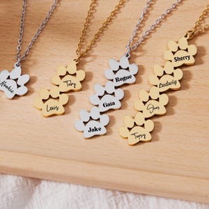 Könnte beinhalten: Neun goldene und silberne Halsketten mit Pfotenanhängern. Jeder Anhänger hat einen anderen Namen eingraviert: Kookie, Lewis, Toby, Gaia, Jake, Topsy, Rogue, Ludwig und Sherry.