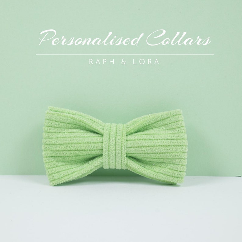 Lime Corduroy Cat Collar Bell with Bow for Pets Gift, Kitten Collar Bow Leash Set with Gold Hardware,Personalized Cat Collar Free Shipping image 3