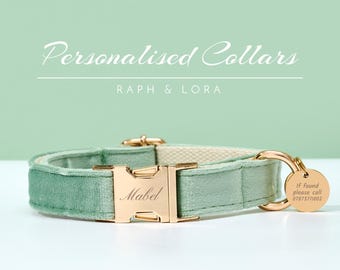 Sage Velvet Personalized Dog Collar Lead Bow, Puppy Collar for Wedding Gift, Luxury Pet Dog Collar for Small Dogs, Soft Cat Collar Gift