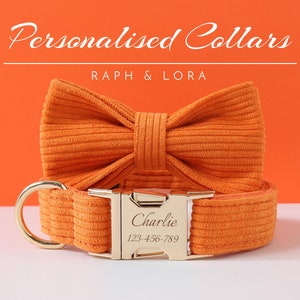 Collar y correa personalizados para perro, lazo de pana naranja para regalo de cumpleaños, collar ajustable de lujo personalizado para cachorro.