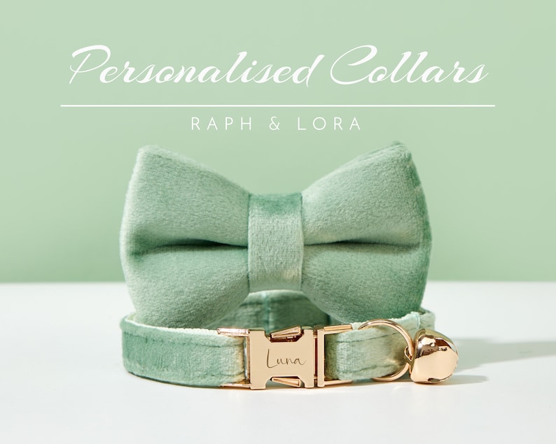 May include: A sage green velvet cat collar with a gold buckle and a bell. The collar is personalized with the name "Luna". The image also includes a matching sage green velvet bow tie.