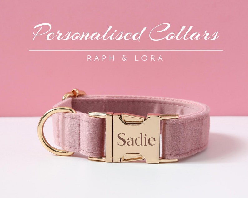 Rosa personalisierte Hundehalsband-Lead Bow, Welpen Kragen für Hochzeitsgeschenk, Luxus Haustier Hundehalsband für kleine Hunde, weiches Welpen Kragen Geschenk Bild 3