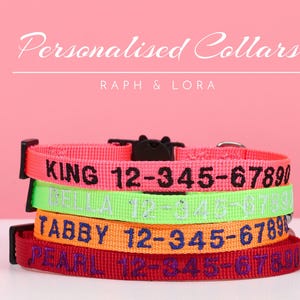 Pu&ograve; includere: Quattro collari per cani personalizzati in diversi colori. I collari sono impilati uno sopra l'altro. Il collare superiore &egrave; rosa con testo nero che dice "KING 12-345-67890". Il secondo collare &egrave; verde con testo bianco che dice "BELLA 12-345-67890". Il terzo collare &egrave; arancione con testo blu che dice "TABBY 12-345-67890". Il collare inferiore &egrave; rosso con testo viola che dice "PEARL 12-345-67890".