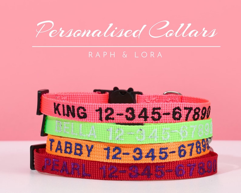 Pu&ograve; includere: Quattro collari per cani personalizzati in diversi colori. I collari sono impilati uno sopra l'altro. Il collare superiore &egrave; rosa con testo nero che dice "KING 12-345-67890". Il secondo collare &egrave; verde con testo bianco che dice "BELLA 12-345-67890". Il terzo collare &egrave; arancione con testo blu che dice "TABBY 12-345-67890". Il collare inferiore &egrave; rosso con testo viola che dice "PEARL 12-345-67890".