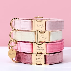 May include: A stack of four personalized dog collars in shades of pink and cream. Each collar has a gold-colored buckle with a pet's name engraved. A small gold tag reads "My mom" with a phone number.