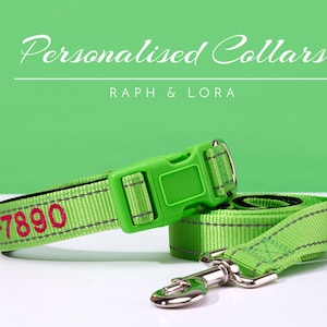 Green Dog Collar With Name Embroidered,Personalized Puppy Collar Gift For Her,Dog Collar Leash For Birthday Gift,Dog Lover Gift For Him