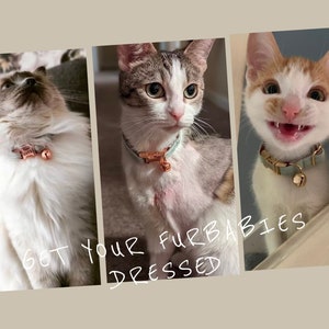 May include: Three cats wearing collars with bells. The cats are a white and grey tabby, a white and orange tabby, and a white long-haired cat. The text "Get your furbabies dressed" is written on the image.