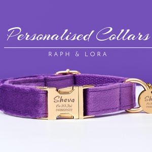 Guinzaglio per cani fatto a mano in velluto viola, collare per cuccioli di lusso, guinzaglio per cani personalizzato per regalo di nozze, collare per cuccioli di lusso per collare per gatti