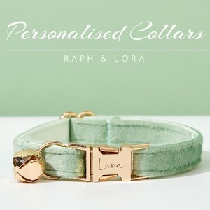 May include: A light green velvet cat collar with a gold buckle and a bell. The buckle is engraved with the name "Luna".