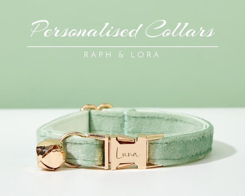 May include: A light green velvet cat collar with a gold buckle and a bell. The buckle is engraved with the name "Luna".