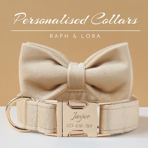 Puede incluir: Un collar de perro de terciopelo beige con una hebilla dorada y una pajarita a juego. La hebilla está grabada con el nombre "Jasper" y el número de teléfono "123-456-789".