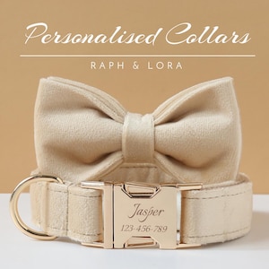 Beige Velvet Dog Collar and Bow, Puppy Dog Collar Bow with Gold Hardware, Personalized Collar and Cat Collar for Dog Parents Gift