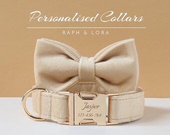 May include: A beige velvet dog collar with a gold buckle and a matching bow tie. The buckle is engraved with the name "Jasper" and the phone number "123-456-789".