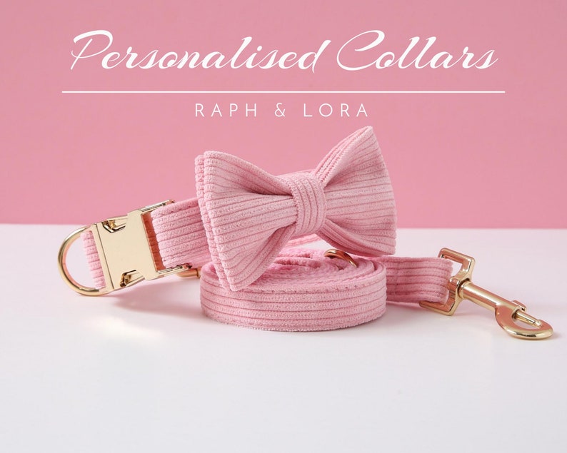 Op de afbeelding: Roze corduroy hondenhalsband en riemset met een gouden gesp en sluiting. Het halsband heeft een bijpassende roze strik. De tekst "RAPH & LORA" is op de afbeelding gedrukt.