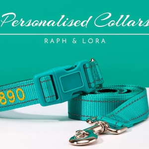 Teal besticktes Hundehalsband mit Leine, Geschenk für Tierliebhaber, maßgeschneidertes Hundehalsband Geschenk für Haustierbesitzer, Stickerei-Welpenhalsband-Set, Geschenk für ihn