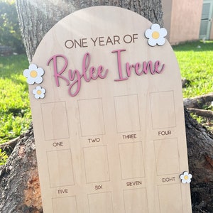 Tablero de fotos de un año, decoración de cumpleaños de Daisy, letrero del primer año del bebé, marco de 12 meses, decoración de un cumpleaños genial, collage de fotos del primer cumpleaños