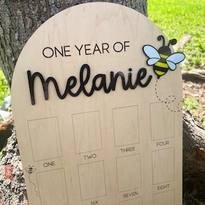 Tablero de fotos de un año, Decoración de cumpleaños divertida para Bee One, Fiesta dulce para Bee One, Primer día de la abeja Bumble Bee, Fiesta del primer cumpleaños de Queen Bee.