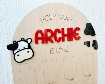 Holy Cow I'm One First Birthday Decor, My First Year Photo Sign, First Rodeo Farm Party Decor, One Year of Photo Board, Baby's first year