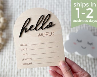Hello World Birth Announcement Sign, Gender Reveal Newborn Sign for Hospital, Welcome Baby Plaque, Baby Name Sign, Its a Boy Its a Girl