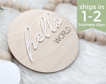 Hello World Birth Announcement Plaque, Gender Reveal Hospital Sign, Gender Neutral Baby Name Sign, It's a Boy It's a Girl Sign for Hospital