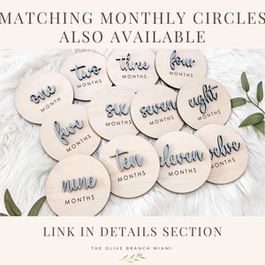 A collection of twelve wooden monthly milestone circles. Each circle is light-colored with a light blue raised font indicating the month. The text "Matching Monthly Circles Also Available" is at the top, with "Link in Details Section" at the bottom.