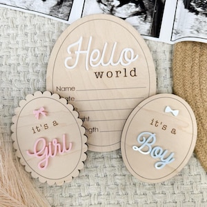 Hello World Gender Reveal Krankenhaus Schild, Krankenhaus Gender Reveal It&#39;s a Boy It&#39;s a Girl Holzschild, Geschlechtsankündigung für Krankenhaus