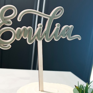 Personalized Baby Name Cake Topper, Baby Shower Cake Topper, Custom Name Birthday Cake Topper, Neutral Baby Shower Decor, Boy or Girl