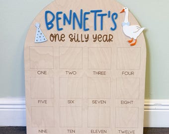 One Silly Goose First Birthday Photo Board, One Silly Year First Birthday, One Year Of Vintage Goose Milestone Sign First Year Photo Display